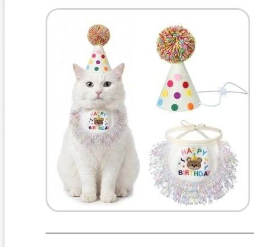Fiyooau Cat Birthday Hat and Bandana Set